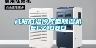 咸阳低温冷库型除湿机CFZ10BD