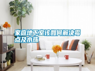 企业新闻家庭地下室该如何解决霉点及水珠