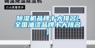 除湿机品牌十大排名(全国油漆品牌十大排名)
