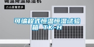 可编程式恒温恒湿试验箱 TK-H