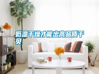 行业新闻低温干燥才能出高品质干贝
