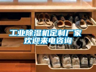 企业新闻工业除湿机定制厂家 欢迎来电咨询