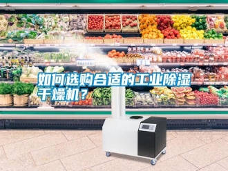 常见问题如何选购合适的工业除湿干燥机？