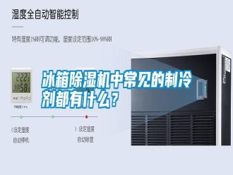 行业新闻冰箱除湿机中常见的制冷剂都有什么？