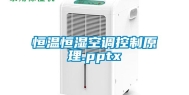 恒温恒湿空调控制原理.pptx
