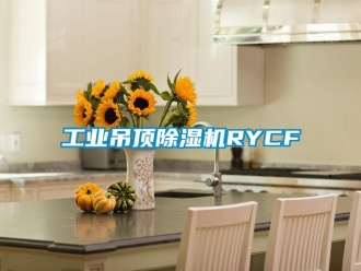 常见问题工业吊顶除湿机RYCF