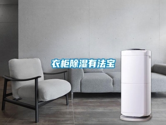 常见问题衣柜除湿有法宝