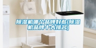 除湿机哪个品牌好些(除湿机品牌十大排名)