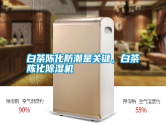 行业新闻白茶陈化防潮是关键，白茶陈化除湿机