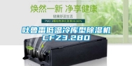 吐鲁番低温冷库型除湿机CFZ3.2BD