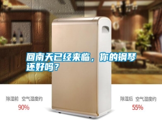 企业新闻回南天已经来临，你的钢琴还好吗？