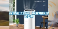 除湿机工业用 工业用除湿机公司