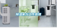 除湿机与工作原理