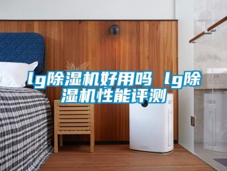 企业新闻lg除湿机好用吗 lg除湿机性能评测