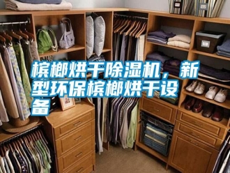 行业新闻槟榔烘干除湿机，新型环保槟榔烘干设备