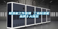 除湿机工作原理 工业除湿机品牌十大排名