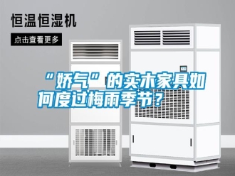 常见问题“娇气”的实木家具如何度过梅雨季节？