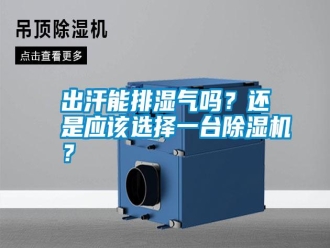 知识百科出汗能排湿气吗？还是应该选择一台除湿机？