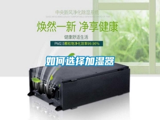 常见问题如何选择加湿器