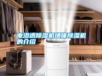 行业新闻电渗透除湿机墙体除湿机的介绍