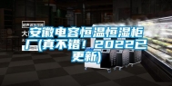 安徽电容恒温恒湿柜厂(真不错！2022已更新)