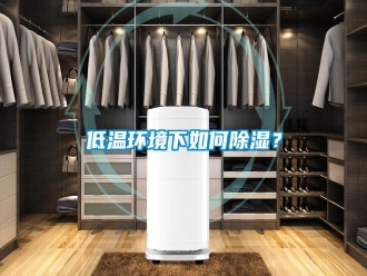 行业新闻低温环境下如何除湿？