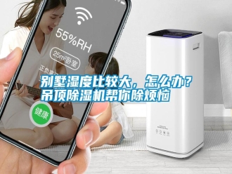 行业新闻别墅湿度比较大，怎么办？吊顶除湿机帮你除烦恼