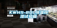 KWHS-80L恒温恒湿试验箱