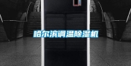 哈尔滨调温除湿机