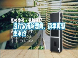 常见问题选对家用除湿机，雨季再潮也不怕