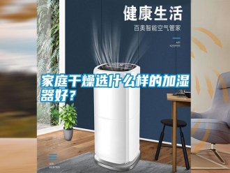 企业新闻家庭干燥选什么样的加湿器好？