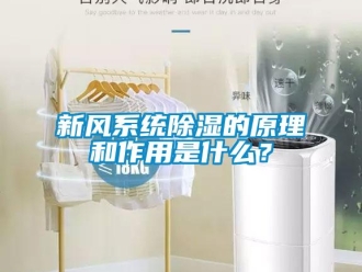 行业新闻新风系统除湿的原理和作用是什么？