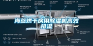 海参烘干房用除湿机高效排湿