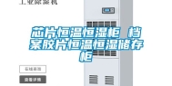 芯片恒温恒湿柜 档案胶片恒温恒湿储存柜