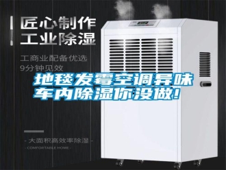常见问题地毯发霉空调异味车内除湿你没做!