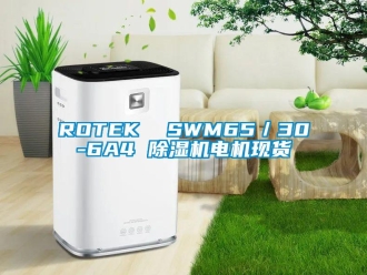 企业新闻ROTEK  SWM65／30-6A4 除湿机电机现货