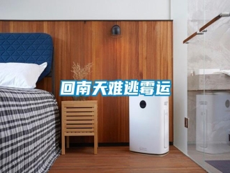 企业新闻回南天难逃霉运