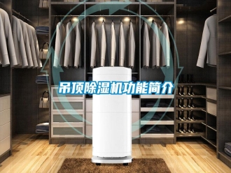 企业新闻吊顶除湿机功能简介