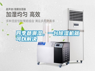 知识百科四季都潮湿，一台除湿机就可以解决