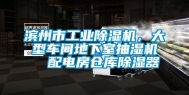 滨州市工业除湿机，大型车间地下室抽湿机  配电房仓库除湿器