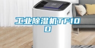 工业除湿机TF10D