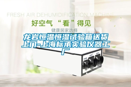 龙岩恒温恒湿试验箱送货上门-上海标承实验仪器工厂