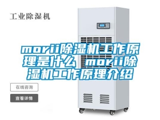 企业新闻morii除湿机工作原理是什么 morii除湿机工作原理介绍