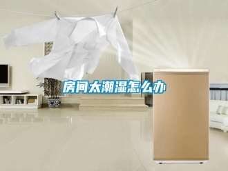 常见问题房间太潮湿怎么办