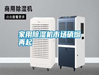 知识百科家用除湿机市场硝烟再起