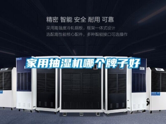 企业新闻家用抽湿机哪个牌子好