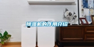 除湿机的作用介绍