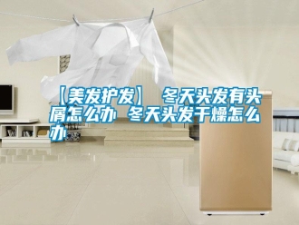 常见问题【美发护发】→冬天头发有头屑怎么办 冬天头发干燥怎么办