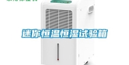 迷你恒温恒湿试验箱