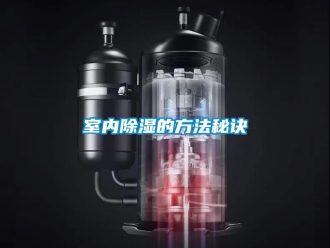 企业新闻室内除湿的方法秘诀